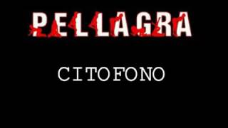 PELLAGRA Citofono [upl. by Chang]