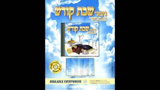 Nigunei Satmar Shabbos Kodesh Audio Preview [upl. by Colman239]