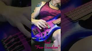 Tool  “Fear Inoculum “ [upl. by Kong829]