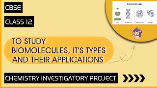 Chemistry Investigatory Project on Biomolecules  Class 12 [upl. by Ioab]