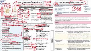 Gastroenterología  8 RM19 2V GASTRO ENCEFALOPATIA HEPATICA SINDROME HEPATORREAL [upl. by Aerdnad]