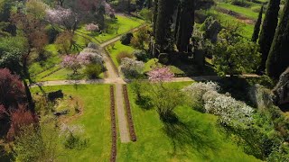 Il giardino di Ninfa [upl. by Ruthe]