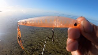 Surface Fishing For Whiting [upl. by Negam269]