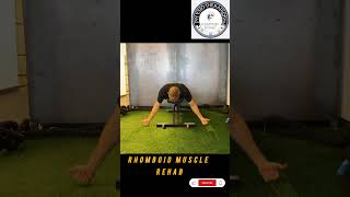 Rhomboid muscle rehab physiotherapist9536 viralvideo rhomboids [upl. by Otrebmuh127]