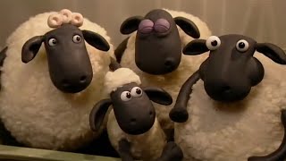 American Reacts to Shaun the Sheep [upl. by Eatnom47]