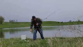 Iowa Pond fishing for bluegills wrecked em [upl. by Anaeco404]