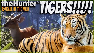 FIRST LOOK At The New Map Sundarpatan Tigers amp Muntjac Deer Call of the wild [upl. by Lenzi]