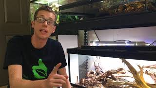 How to maintain your Terra Sahara Bioactive Terrarium [upl. by Nolrak]