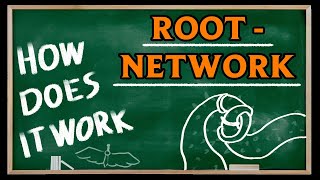 How Does It Work  Root and RootNetwork [upl. by Armallas]