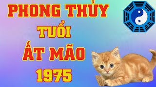 Phong Thủy Tuổi Ất Mão 1975 [upl. by Herates]