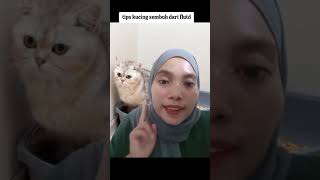 CARA MENYEMBUHKAN KUCING YANG TERKENA FLUTD [upl. by Eniarol42]