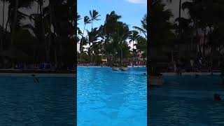 Melia Hotel Punta Cana [upl. by Naloj]