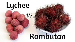 Lychee vs Rambutan Tropical Fruit [upl. by Hanauq849]