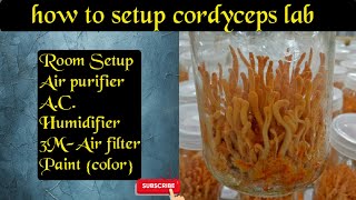 how to Setup Cordyceps militaris Lab [upl. by Areehs]