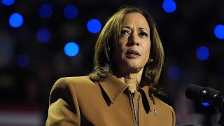 ‘Snowflake’ Kamala Harris freezes after heckler interrupts Michigan rally [upl. by Volnay253]