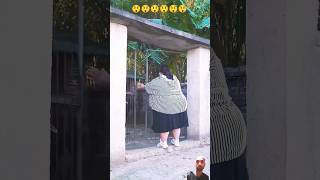 Danger video😲😲respect reaction dog funny comedy video story shorts short video subscribe [upl. by Huberty]