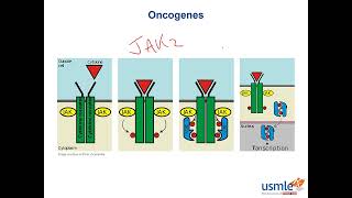 USMLERx Express Video of the Week Oncogenes [upl. by Nylahsoj112]