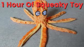 1 Hour of Squeaky Squid Toy Sound [upl. by Omrellig]