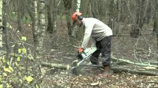 Hatfield Forest Coppicing VolunteersVisitor [upl. by Sirois767]