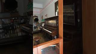 Automatic Piano  Pay to automatically Play  Burnaby Museum shorts [upl. by Yesnik459]