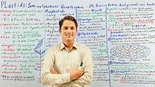 Plastids class 11ChloroplastChromoplastLeucoplastPlastids and its types Hindi UrduSir Suresh [upl. by Clemence733]