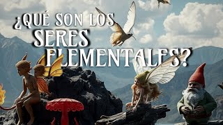 ¿Qué son los seres elementales [upl. by Nol994]