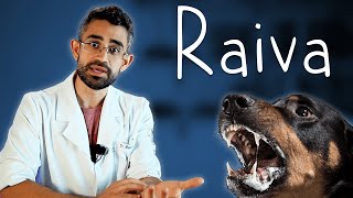 Raiva em cães e gatos Transmissão sintomas e prevenção  Dica Veterinária 66 [upl. by Abshier962]