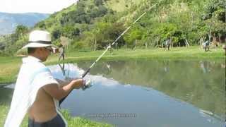 Pescando truchas con James en la Truchera Piedra Lisa vereda el Barro en Girardota [upl. by Dart]