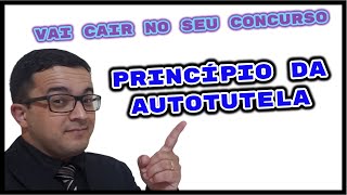 Princípio da Autotutela  Princípio da Administração Pública [upl. by Haynes]