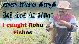 After a long gap I am busy catching with Rohu fish [upl. by Wilek]