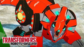 Transformers Bumblebee  Join the Buzz Official Stop Motion Video  Transformers Official [upl. by Austreng]