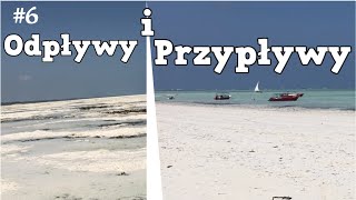 15 Odpływy i przypływy ocean indyjski  6 Prawdziwe życie na Zanzibarze [upl. by Assi]