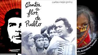 Carlos Mejía Godoy Cantos a flor de pueblo 1973 Disco completo [upl. by Naud24]