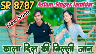 SR 8787 Aslam Singer Jamidar  New Audio Video Song  TR Mewati [upl. by Cutter]