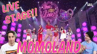 Momoland  Im So Hot Live Stage Perf Reaction [upl. by Adnoral956]