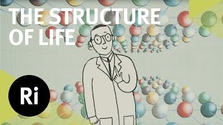 Celebrating Crystallography  An animated adventure [upl. by Hinckley]