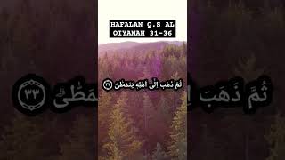 UMMI QS AL QIYAMAH 3136 [upl. by Ahsaya]