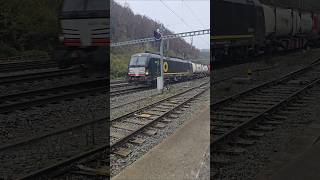 Güterzug Durchfahrt Bözberg train trainspotting sbb zug fy [upl. by Keverne907]