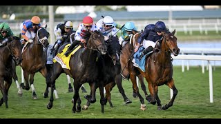 Pegasus World Cup Turf Invitational Stakes G1 2024 [upl. by Carolynne]