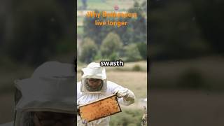 Why do beekeepers live longer Secret Revealed [upl. by Adnilg]