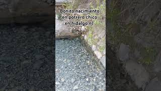 Hermoso nacimiento de agua en potrero chico en hidalgo nl vengan a visitarlo [upl. by Travers]