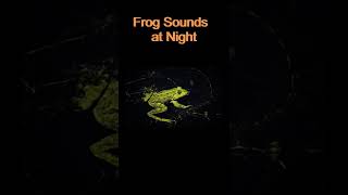 Frog sounds at night [upl. by Halian472]