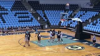 Melicia Nelson 22 Lady Dreams Highlights from 2024 Road to NABI Tournament [upl. by Florrie]