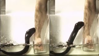 Researcher shocked by electric eel [upl. by Nalim]