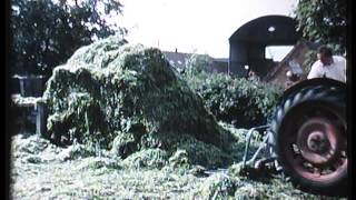 Dairy Farming in the UK in the 1960s [upl. by Free8]