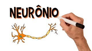 ✅ NEURÔNIOS e NEUROTRANSMISSORES  Estrutura [upl. by Sherri240]