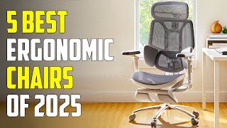 5 Best Ergonomic Office Chairs 2025  Best Ergonomic Chair 2025 [upl. by Freyah930]