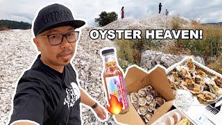 HAMA HAMA OYSTERS On Washingtons OLYMPIC PENINSULA [upl. by Gavrah260]