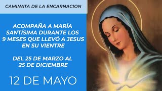 LA CAMINATA DE LA ENCARNACION 12 DE MAYO [upl. by Aryan]