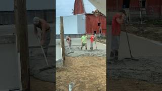 Pouring cattle feedlot pad concrete concreteconstruction shorts trending short viralshorts [upl. by Esorlatsyrc542]